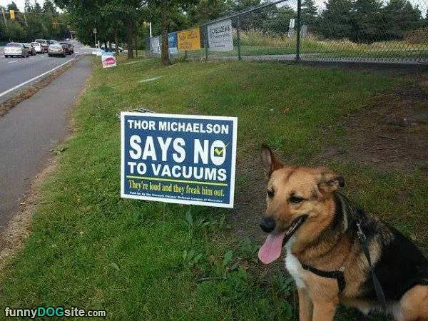 Say No To Vacuums
