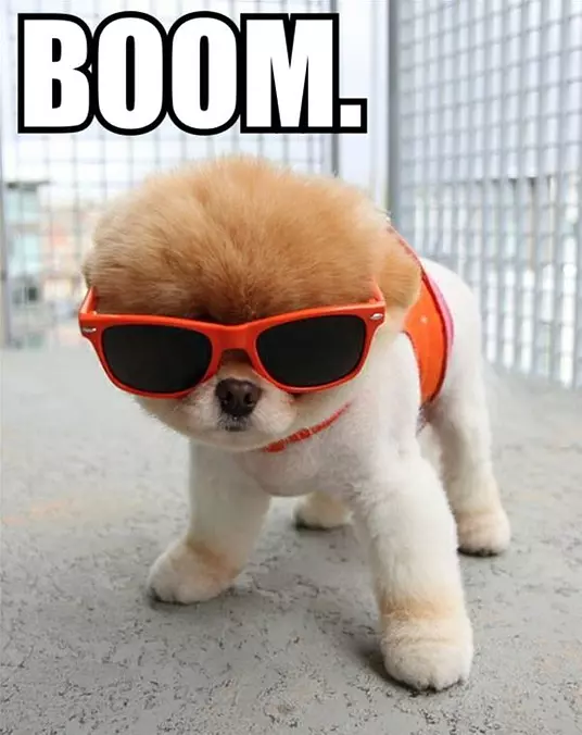 Boom