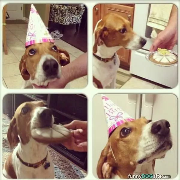 Nom Nom Nom Birthday