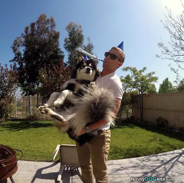 Fluffy Pup