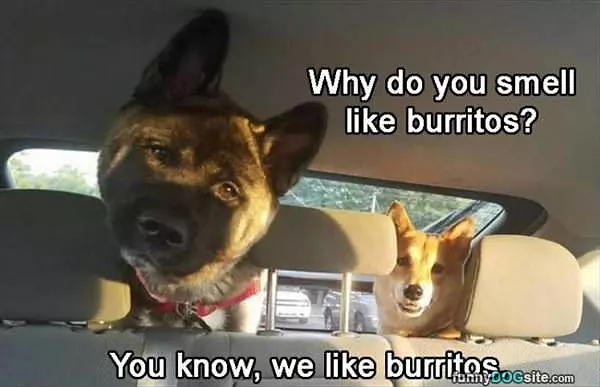 Burritos