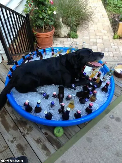 Just Chillin