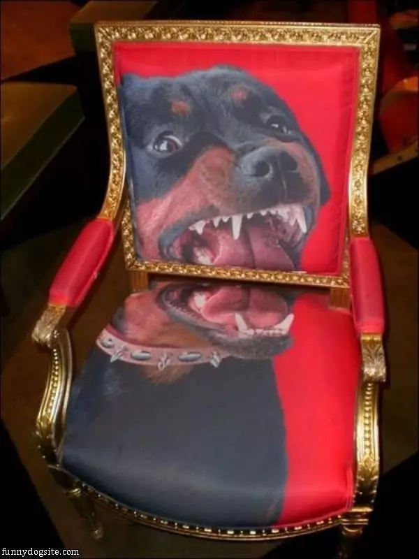Crazy Dog Chair