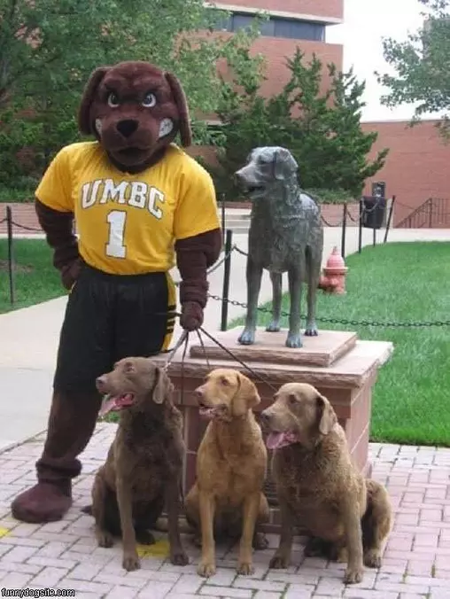 Dogz