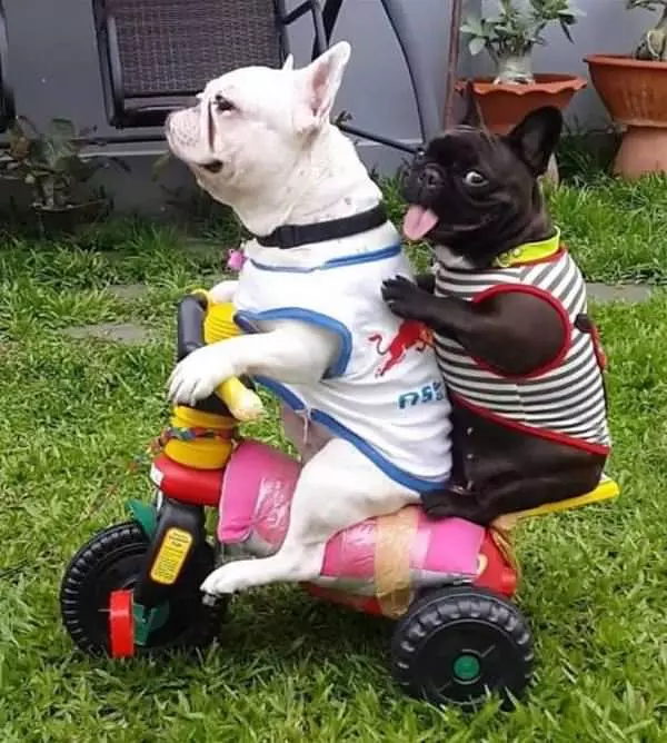 Riding All Over