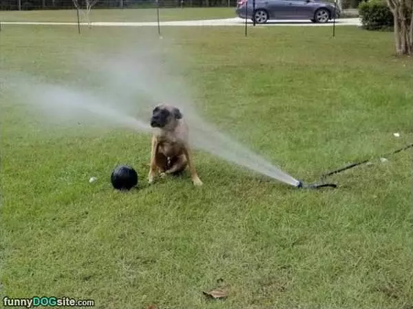 Cooling Down