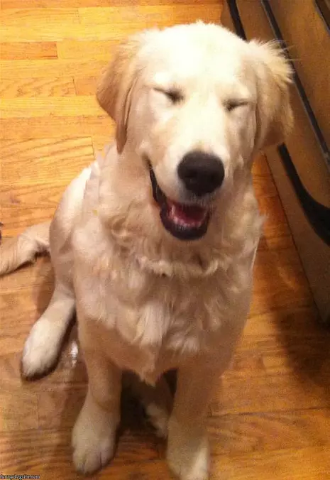 Bella Is Smiling