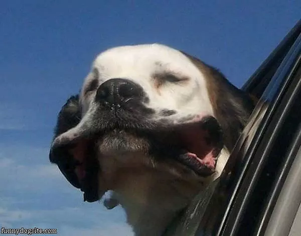 Wind Feels Good