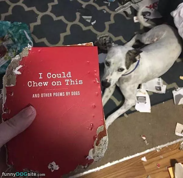 Poems By Dogs
