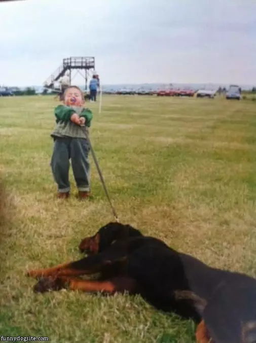 Cmooooon Doggie