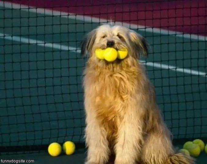 Lets Play Ball