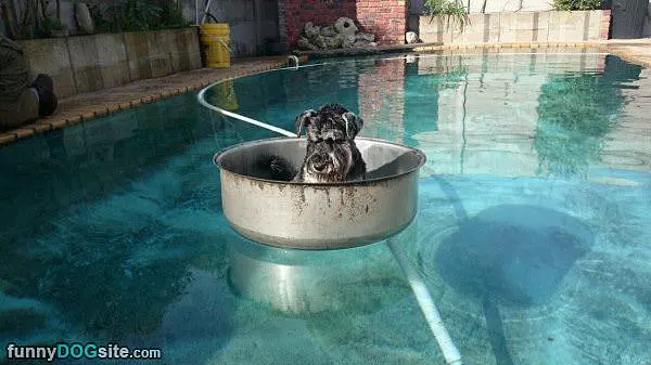Floating Around