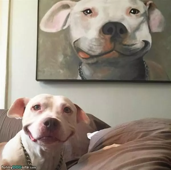 My Owner Loves Me This Much