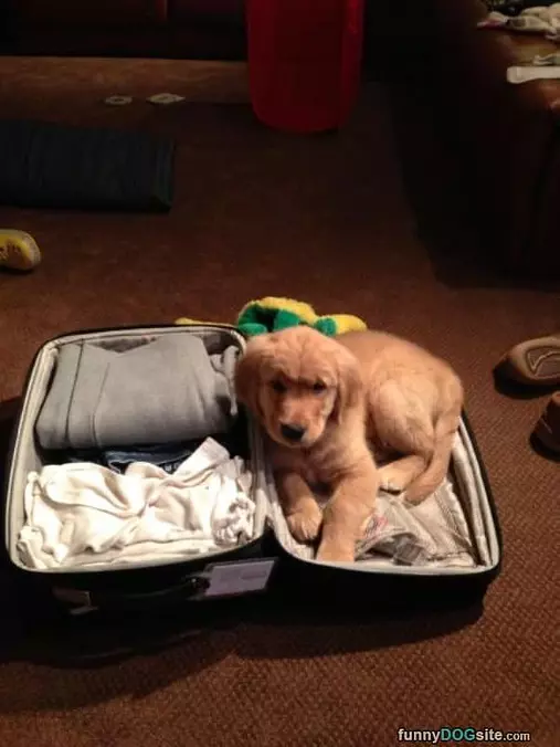 Take Me With You