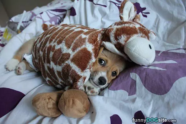 I Am All Warm