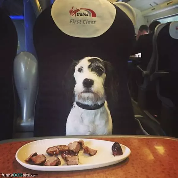 First Class Thanks