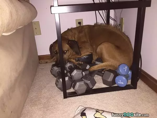 My Bed Was Covered