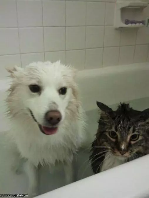 We Are Having Bath Time