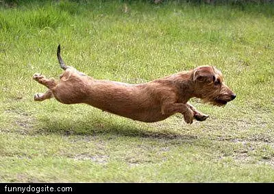 Super Fast