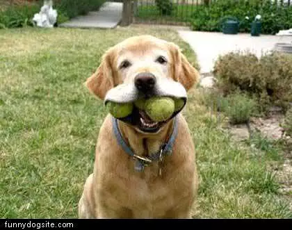 Balls