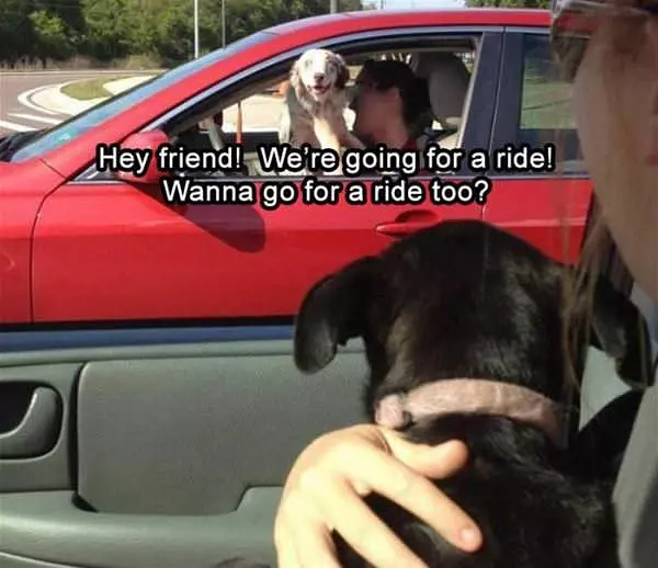 Hey Friend Are We Going For A Ride