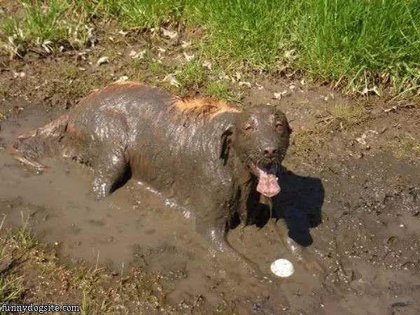 Might Need A Bath