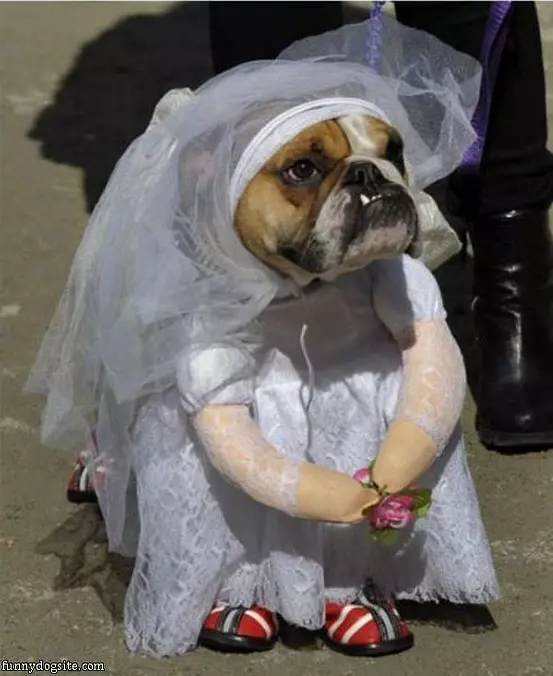 Getting Married