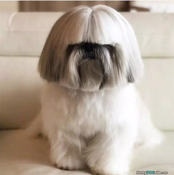 This Funky Hair