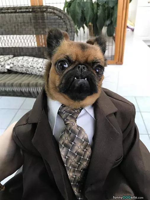 Here For My Interview