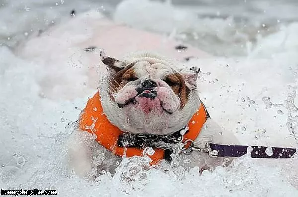 Loves The Surf