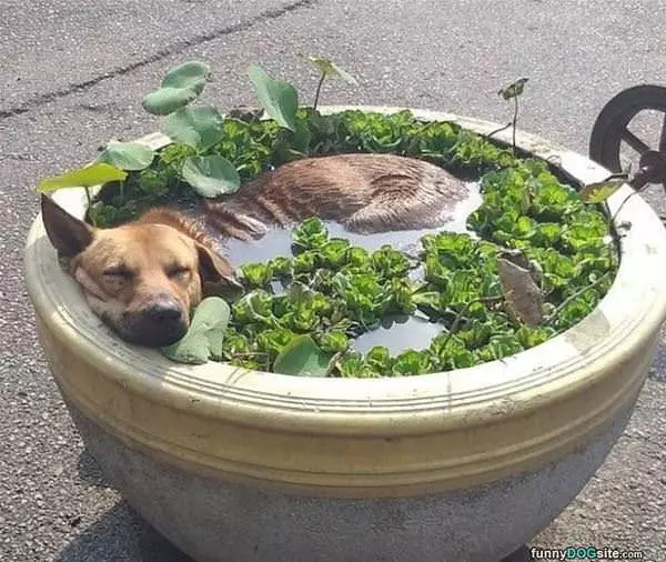 Cooling Off