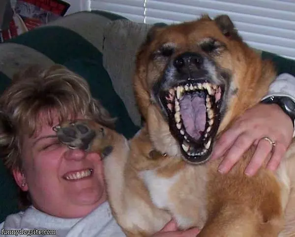 Hahaha Human
