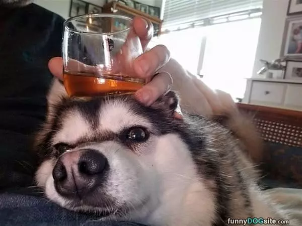 I Am A Table Now