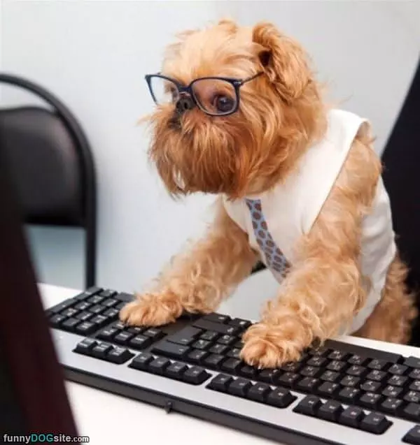 This Is Serious Business