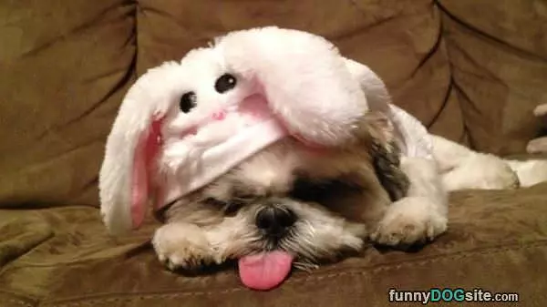 I Need A Nap