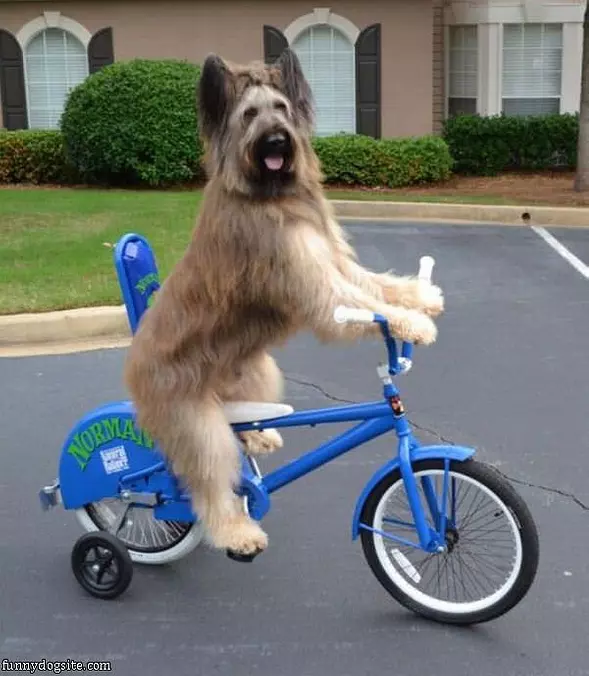Riding My Bike Around