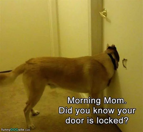 Morning Mom