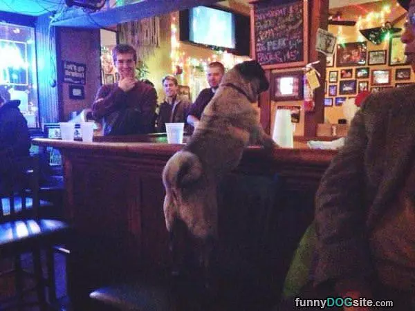 Can I Order Steak Here