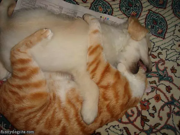 Just Having Some Play Time