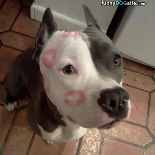 Some Kisses