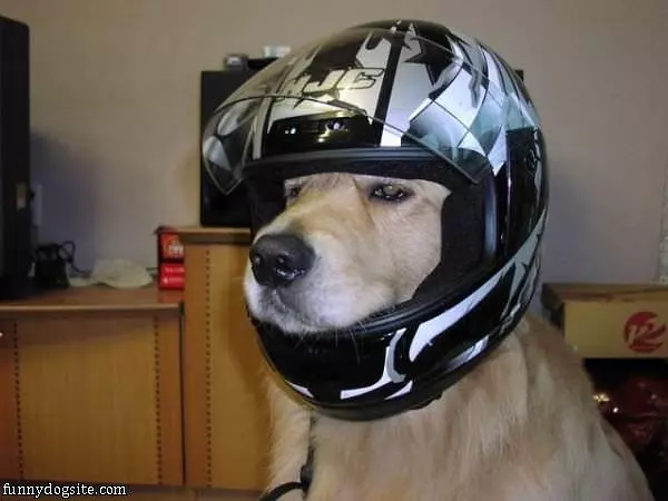 I Have A Helmet