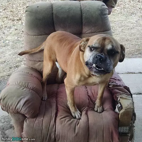 Grrrrr