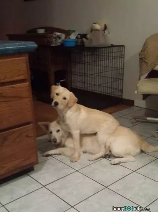 Its Play Time