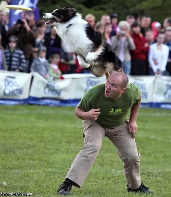 Jumping For It