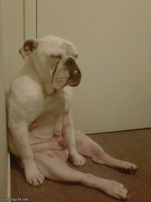 Sooo Lazy Today