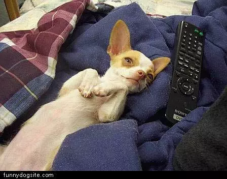 Tv Time