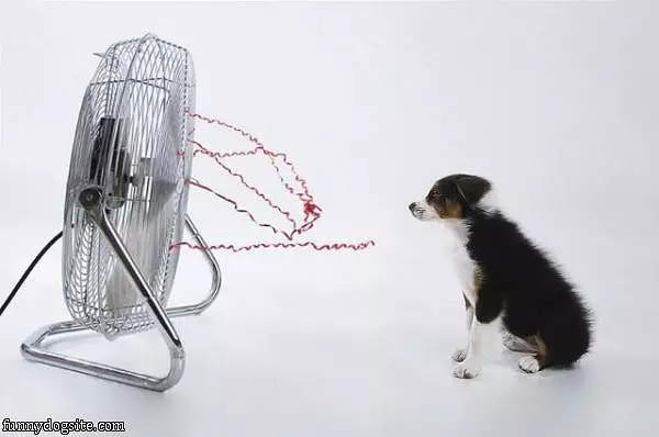 Just Cooling Off