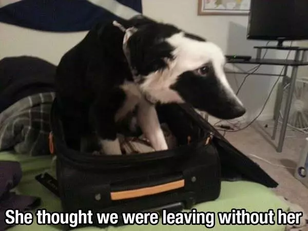 Not Without Me