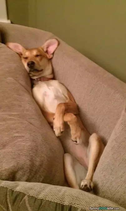 This Is Where I Sleep