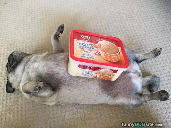 I Want Ice Cream